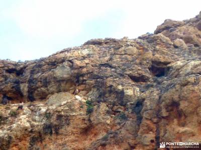 Cañón Caracena; Encina  Valderromán; agencias de trekking grupos viajes a la sierra